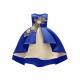 Girls Kids Bow Embroidered Sleeveless Princess Dress